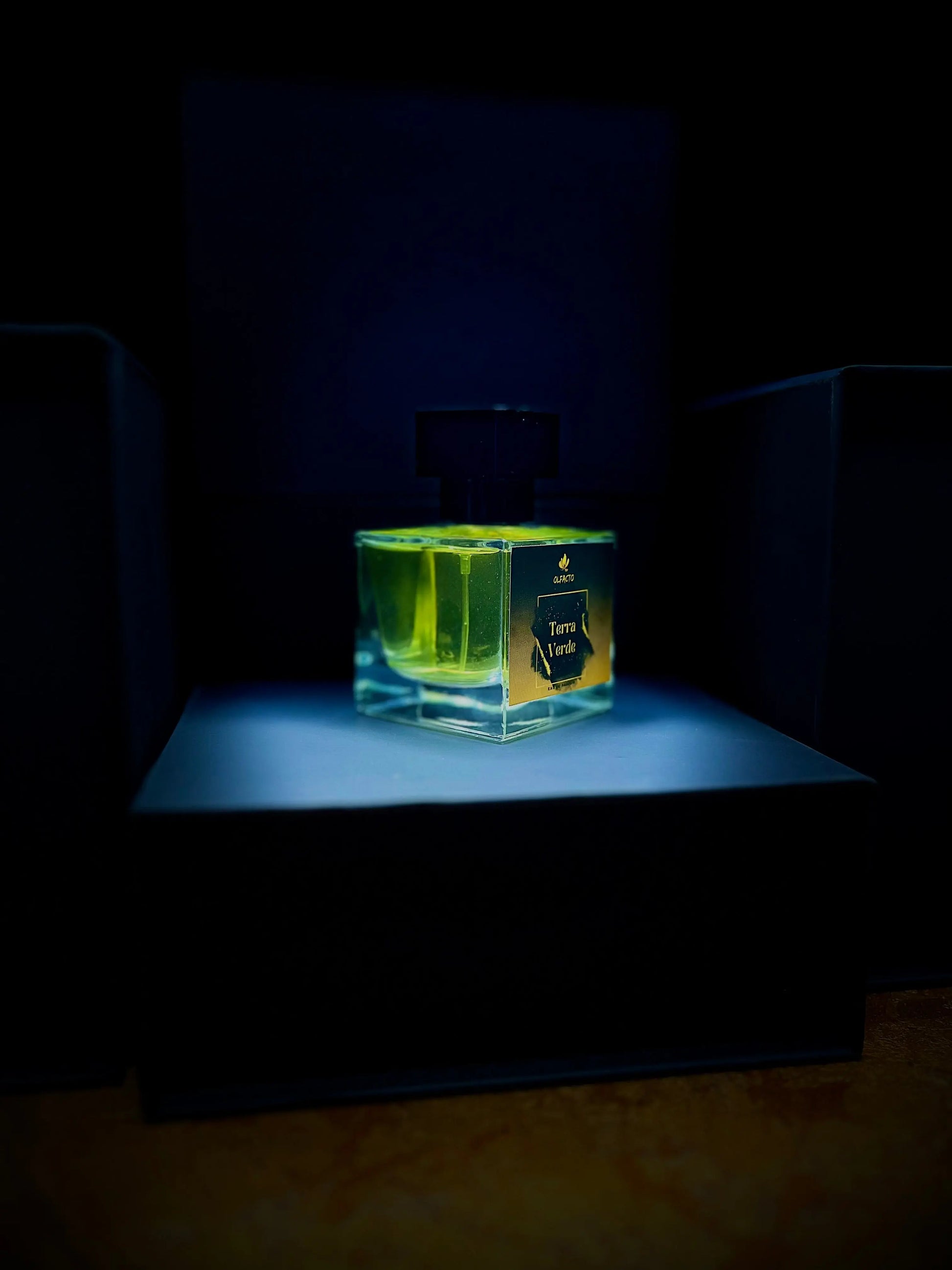 Terra Verde by Olfacto – Unisex Perfume | Dior Sauvage Inspired | Alcohol-Free & Long-Lasting OLFACTOBYM&A